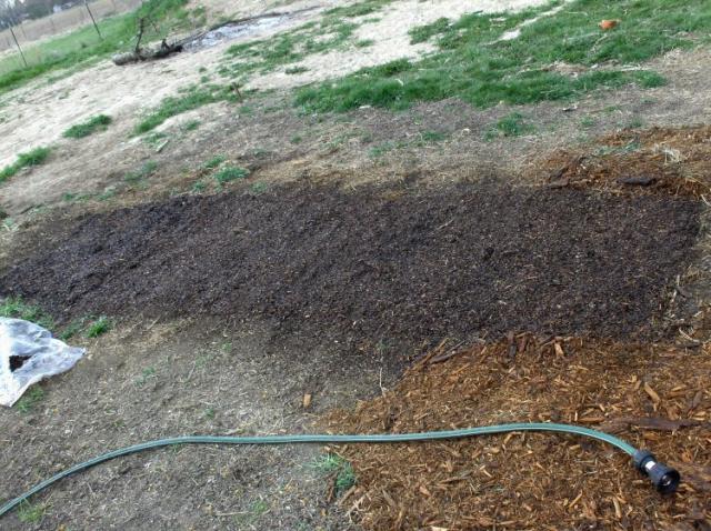 First seeds planted