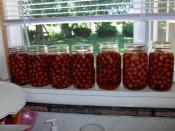 Cherries