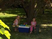 Picnic under the plum tree