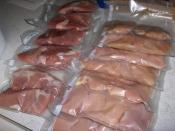 Filling the freezer