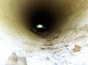 seeing the skunk at the end of the tunnel