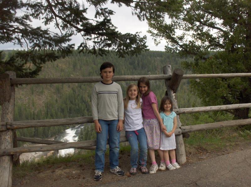 lower Mesa Falls