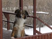 I see you!