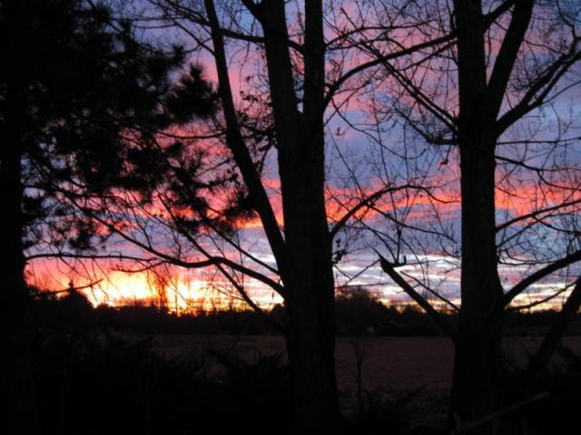 winter sunset